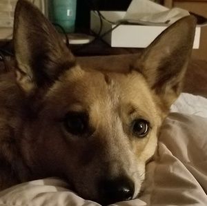 Meet your Posher, Paula